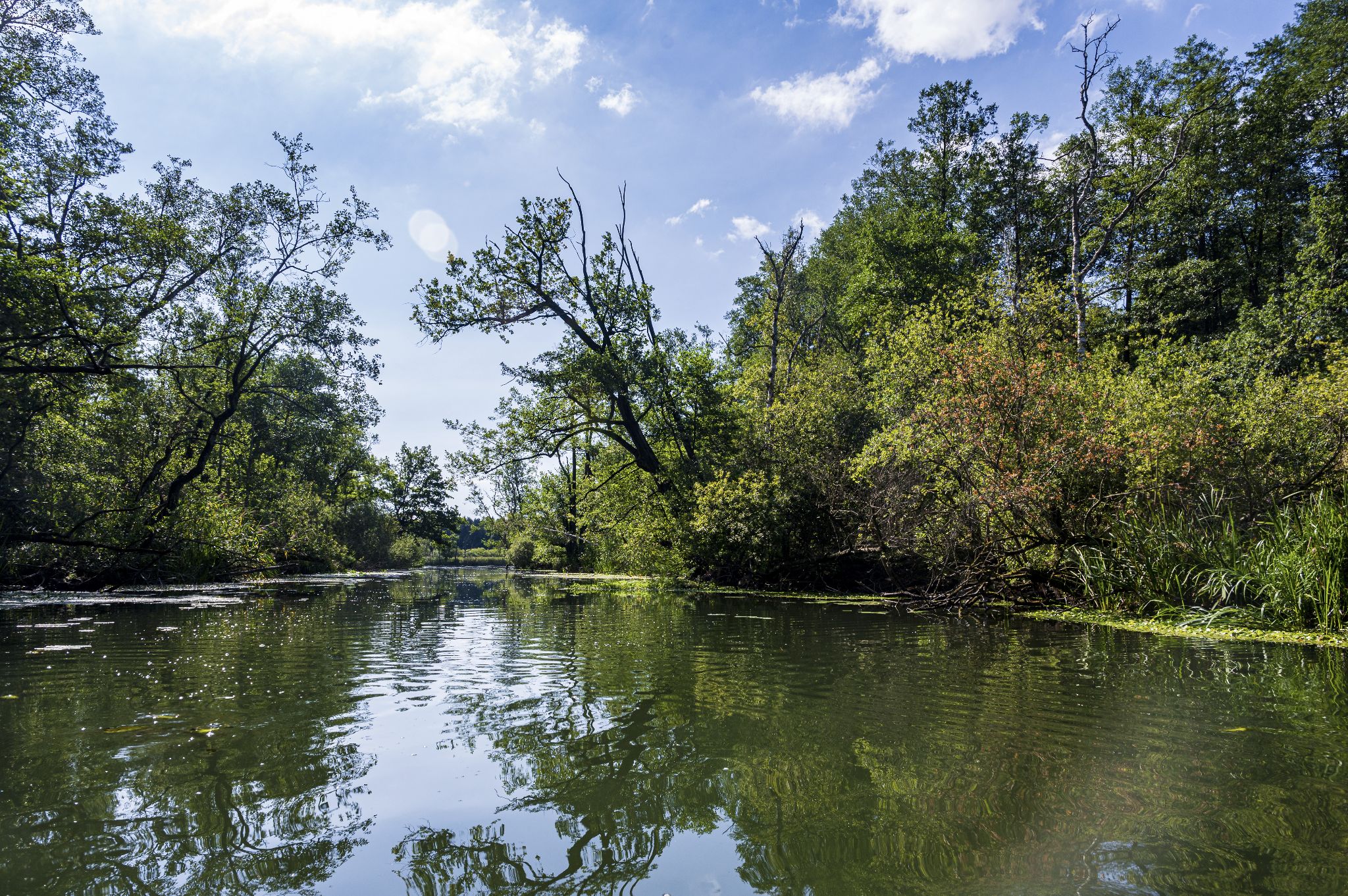 Kajaktour Leutstettner Moos 21.08.2022
